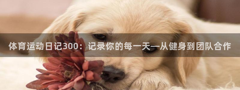 风速体育nba免费直播：体育运动日记300：记录你的每一天—从健身到团队合作