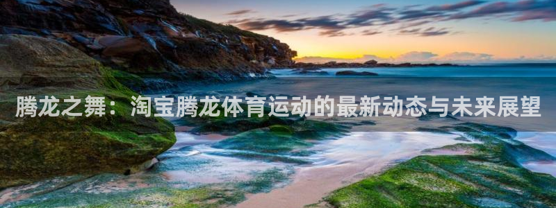 风速体育直播app：腾龙之舞：淘宝腾龙体育运动的最新动态与未来展望