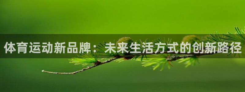 风速体育app：体育运动新品牌：未来生活方式的创新路径