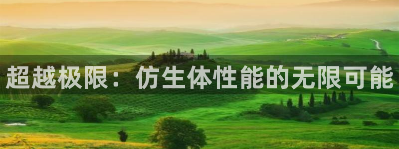 风速体育：超越极限：仿生体性能的无限可能
