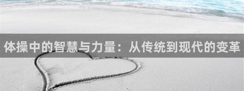 风速体育直播app：体操中的智慧与力量：从传统到现代的变革