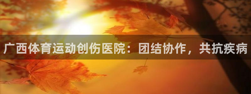 风速体育直播：广西体育运动创伤医院：团结协作，共抗疾病