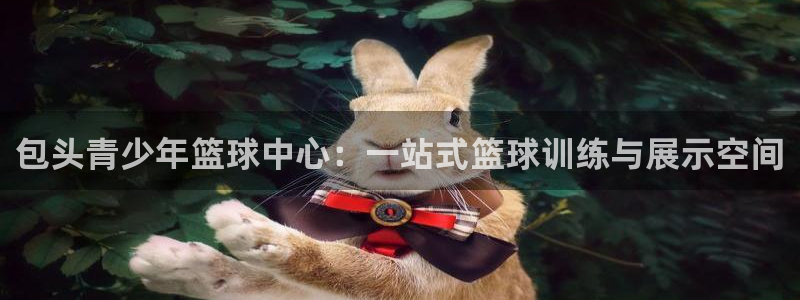 风速体育app下载官网最新版：包头青少年篮球中心：一站式篮球训练与展示空间