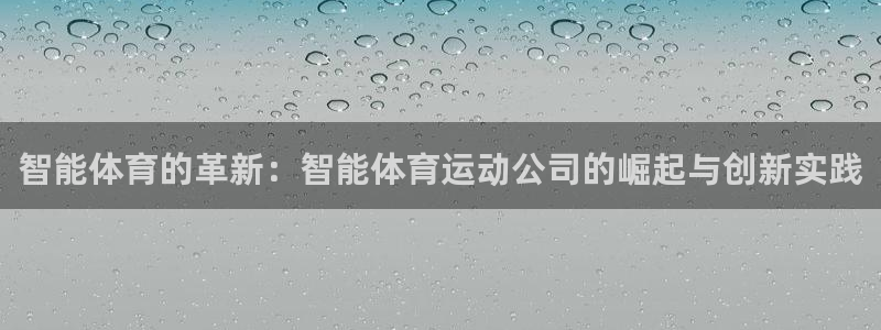 风速体育：智能体育的革新：智能体育运动公司的崛起与创新实践