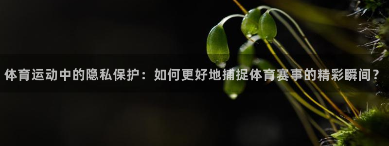风速体育app官方下载：体育运动中的隐私保护：如何更好地捕捉体育赛事的精彩瞬间？