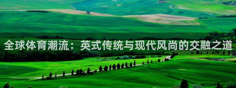 风速体育直播app：全球体育潮流：英式传统与现代风尚的交融之道