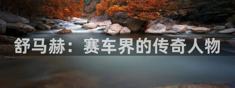 风速体育直播app：舒马赫：赛车界的传奇人物