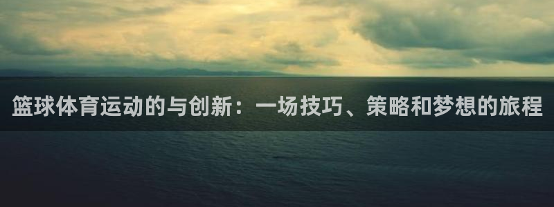 风速体育app：篮球体育运动的与创新：一场技巧、策略和梦想的旅程